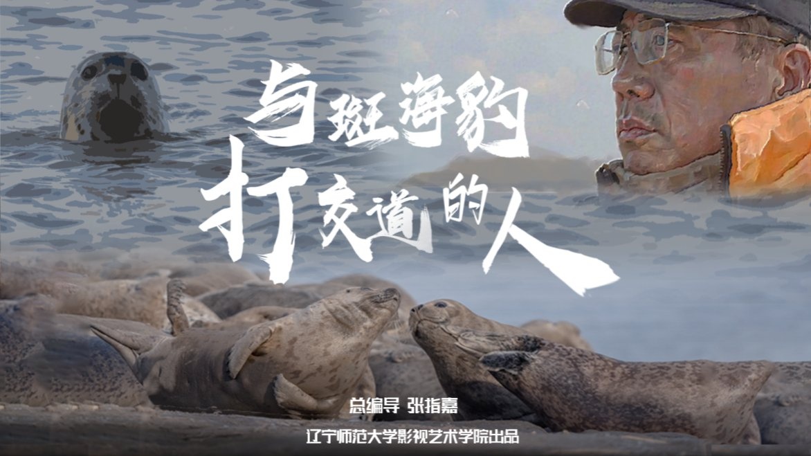 我校影视艺术学院教师作品在中央广播电视总台播出