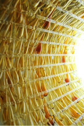 影视艺术学院教师作品入选第十三届全国美术作品展览