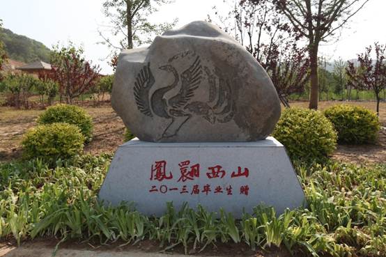 我校荣获2013年度大连市青山生态系统工程建设绿化先进单位荣誉称号